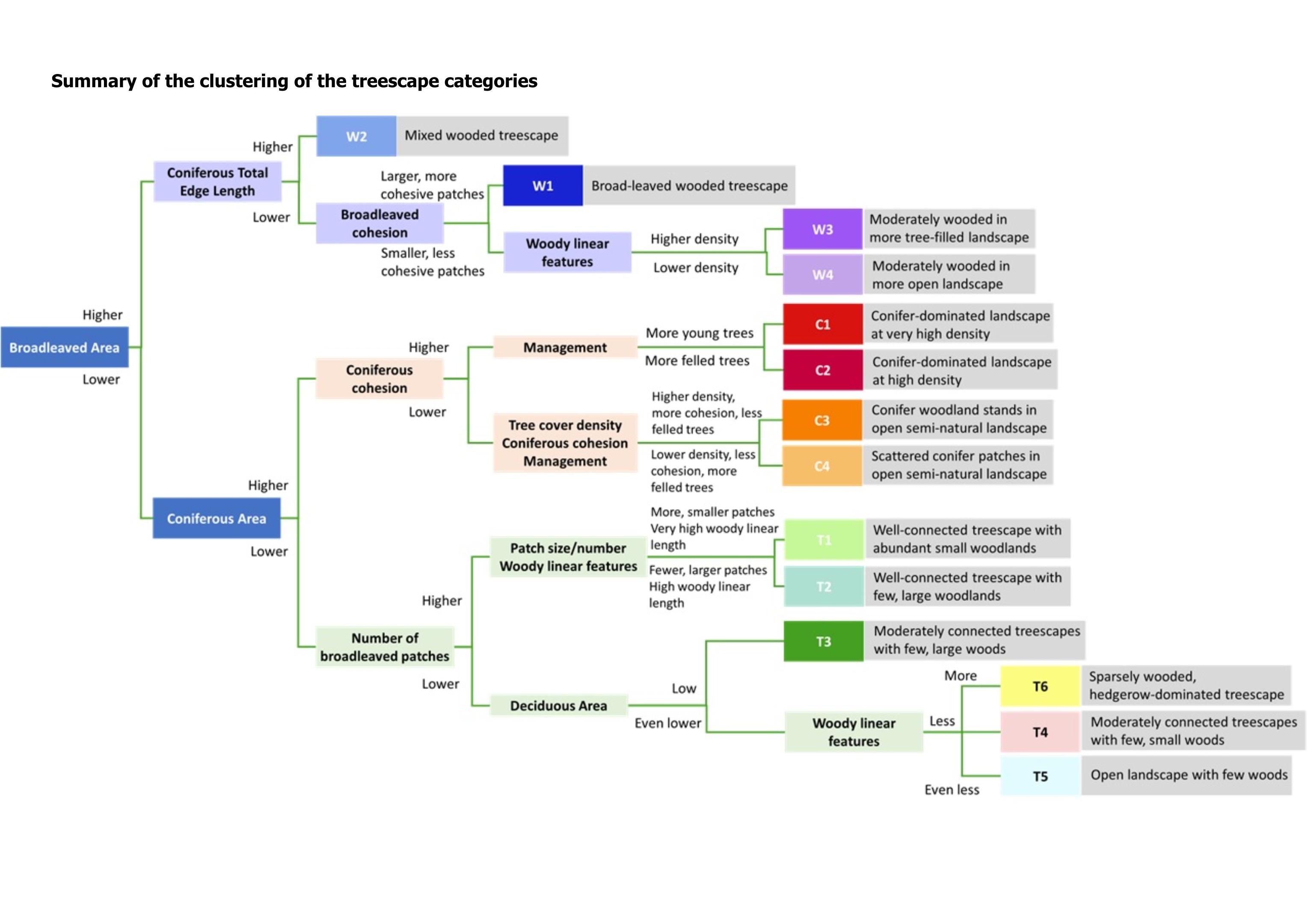 Diagram showing naming process of typology