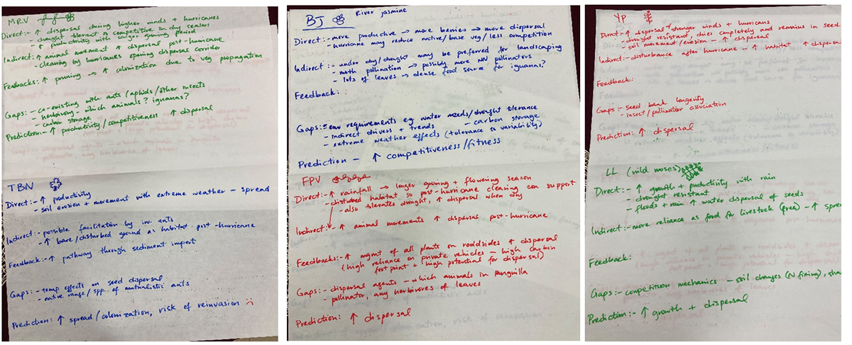 Three sets of flipcharts with notes relating to invasive non-native plants on Anguilla