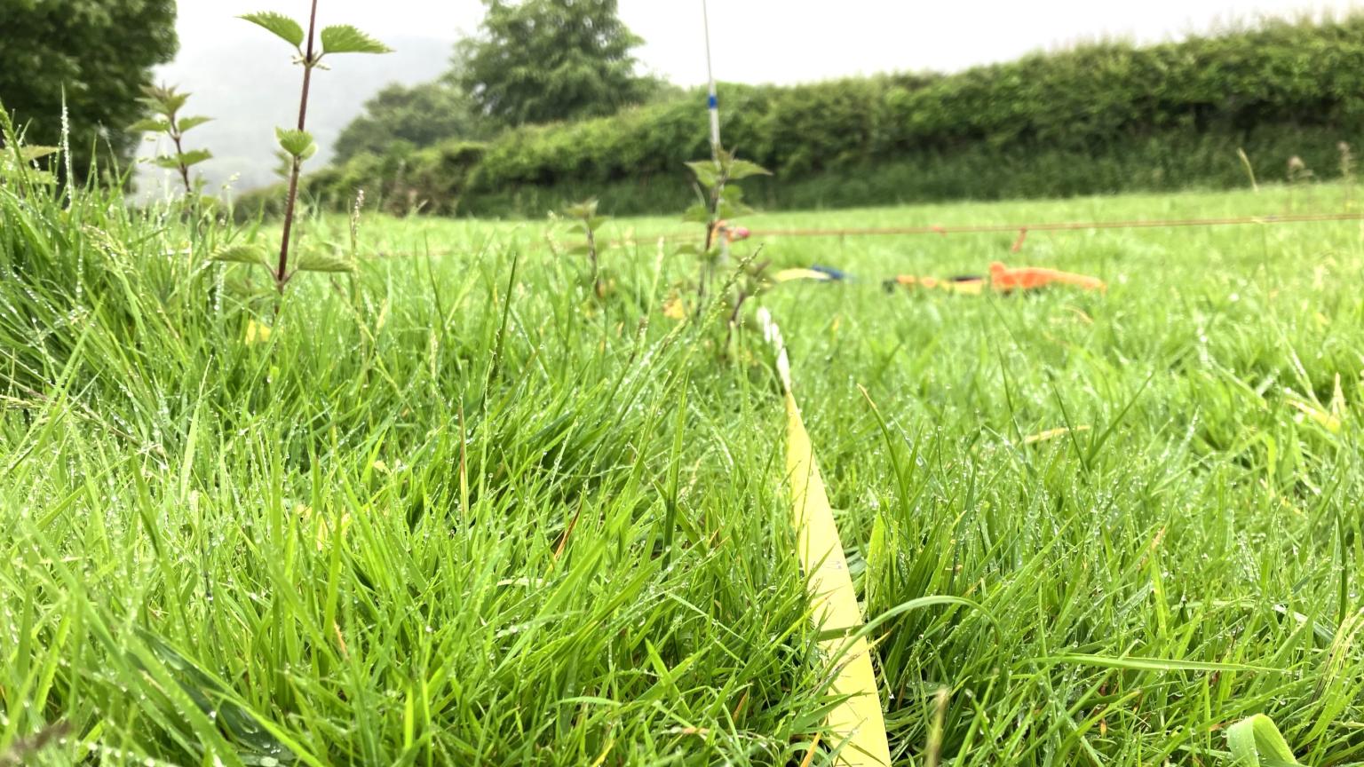 Henfaes Research Centre site