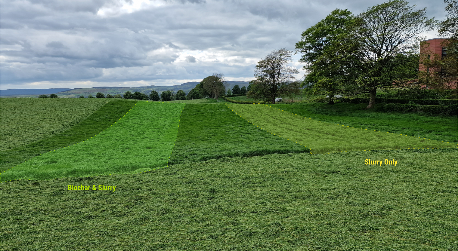 View of the grassland plots