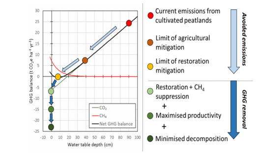 Emissions critically depend on water table depth Graph of gas emissions that varies with water table depth