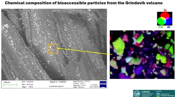 Chemical composition of bioaccessible particles in Arctic moss from Grindavik volcano