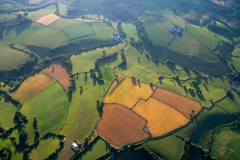 UK Countryside Image