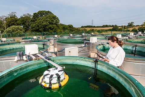 Theresa Vökl stands beside one of the tanks at the UKCEH Aquatic Mesocosm Facility