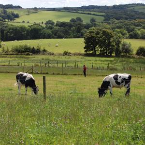 Farmed land (photo by Rothamsted Research) Farmed land (photo by Rothamsted Research)