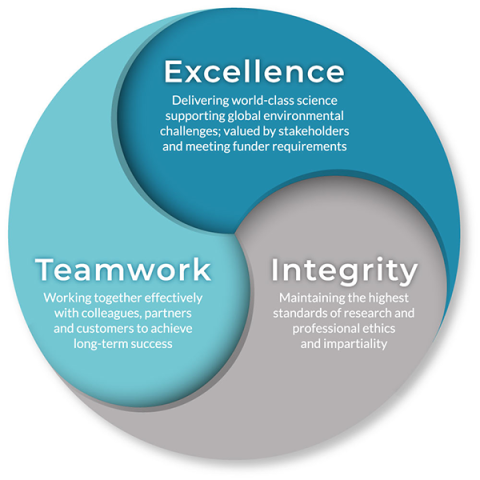 Excellence, Integrity, Teamwork diagram Excellence, Integrity, Teamwork diagram