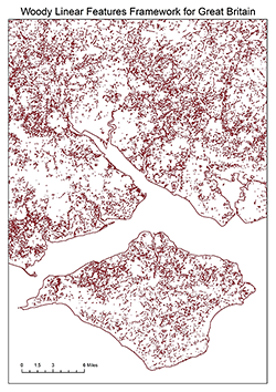 Part of a map depicting Great Britain woody linear features framework Part of a map depicting Great Britain woody linear features framework