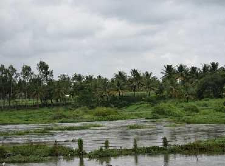 Cauvery Basin monsoon rains