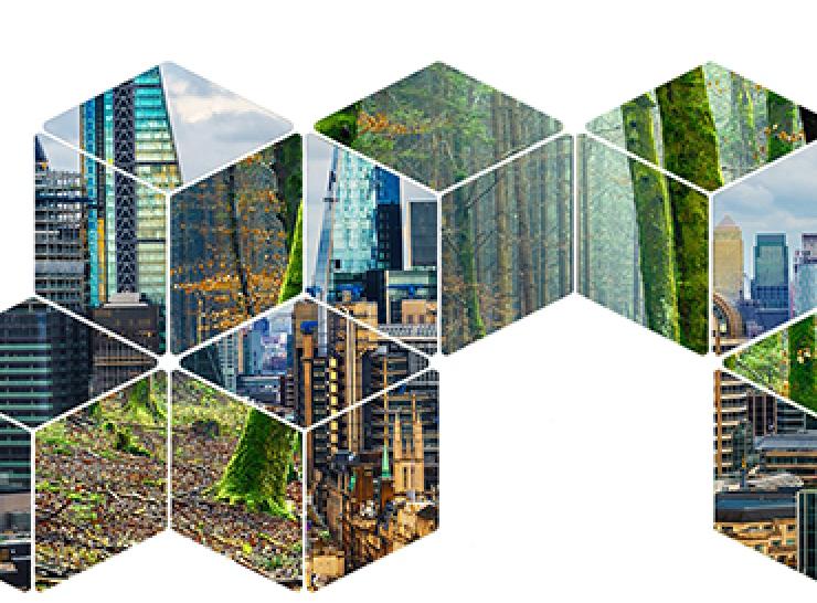 Illustration combining buildings and nature