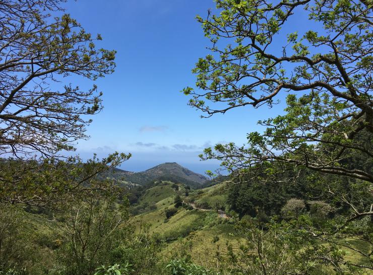 St Helena